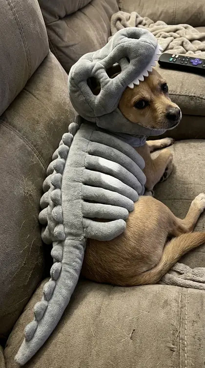 Customer photo featuring Furavora Dino Skeleton Costume