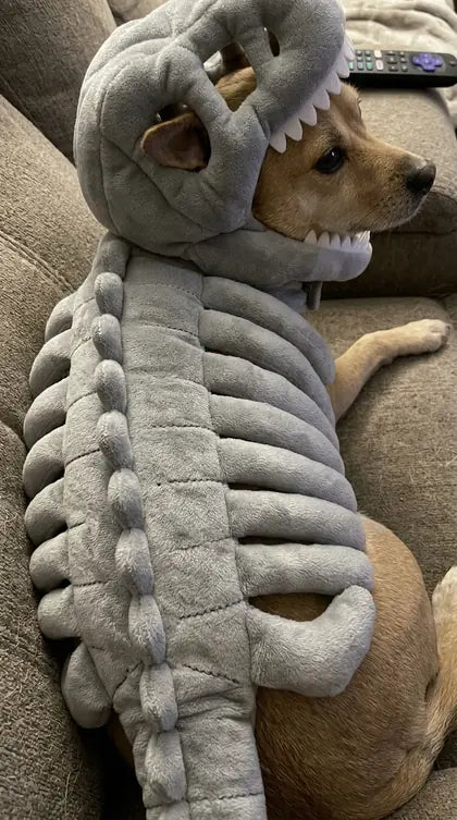 Customer photo featuring Furavora Dino Skeleton Costume