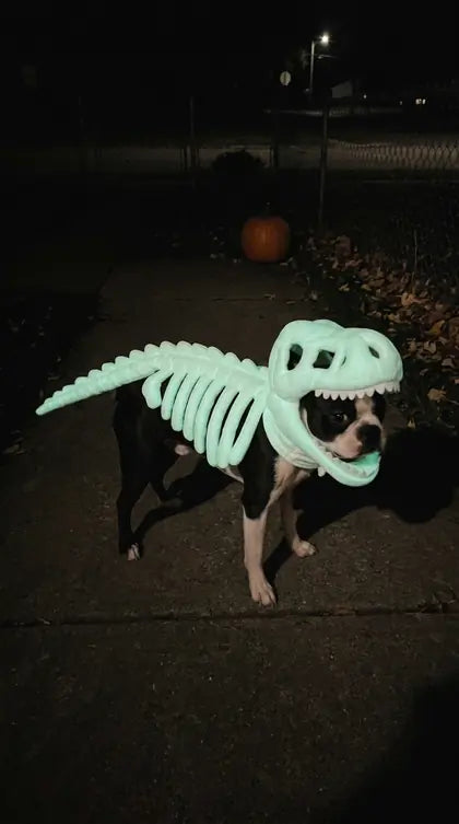 Customer photo featuring Furavora Dino Skeleton Costume