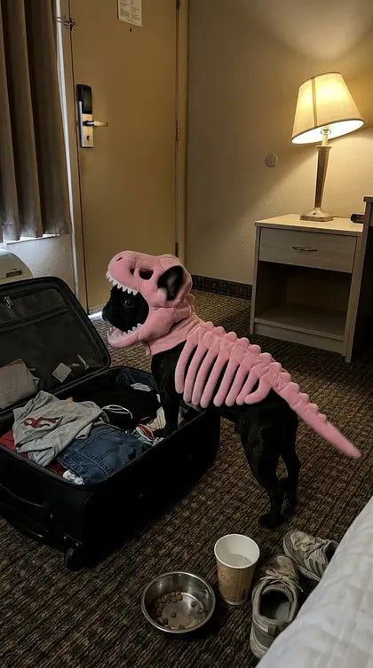 Customer photo featuring Furavora Dino Skeleton Costume