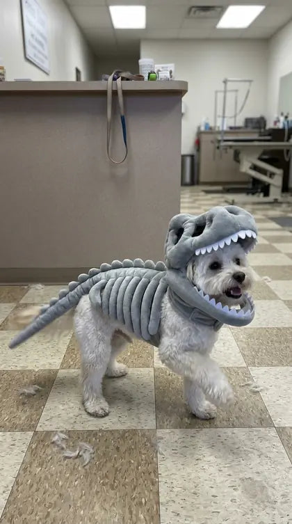 Customer photo featuring Furavora Dino Skeleton Costume