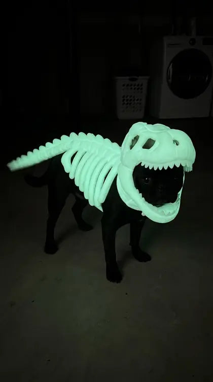 Customer photo featuring Furavora Dino Skeleton Costume