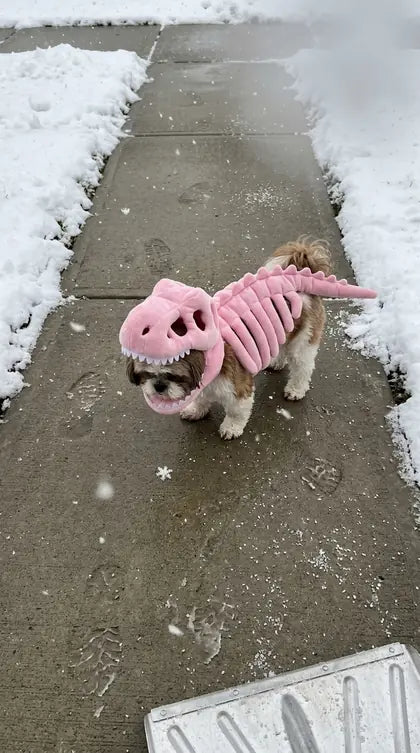 Customer photo featuring Furavora Dino Skeleton Costume