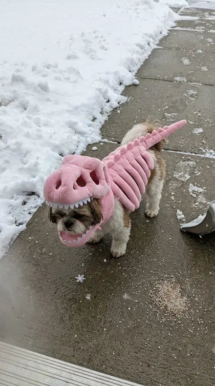 Customer photo featuring Furavora Dino Skeleton Costume