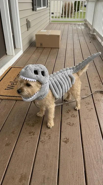 Customer photo featuring Furavora Dino Skeleton Costume