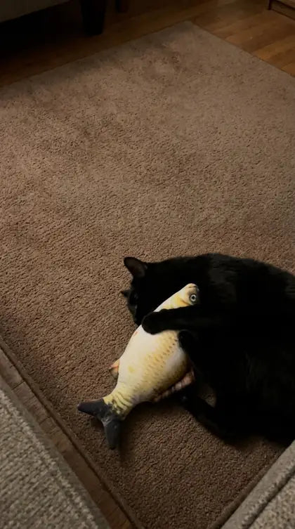 Customer photo featuring Furavora Flopping Fish Toy