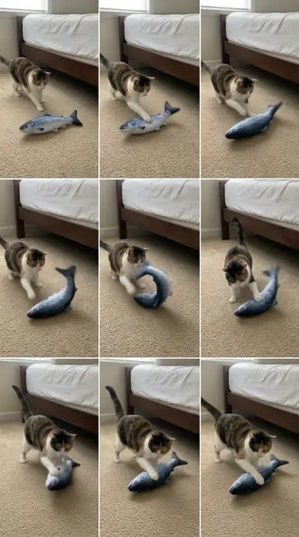 Customer photo featuring Furavora Flopping Fish Toy