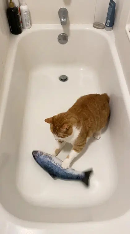 Customer photo featuring Furavora Flopping Fish Toy