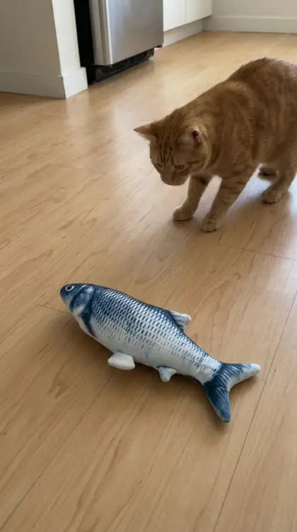 Customer photo featuring Furavora Flopping Fish Toy