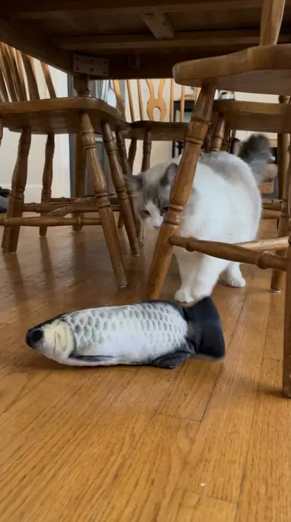 Customer photo featuring Furavora Flopping Fish Toy