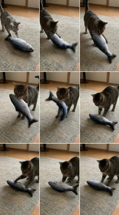 Customer photo featuring Furavora Flopping Fish Toy