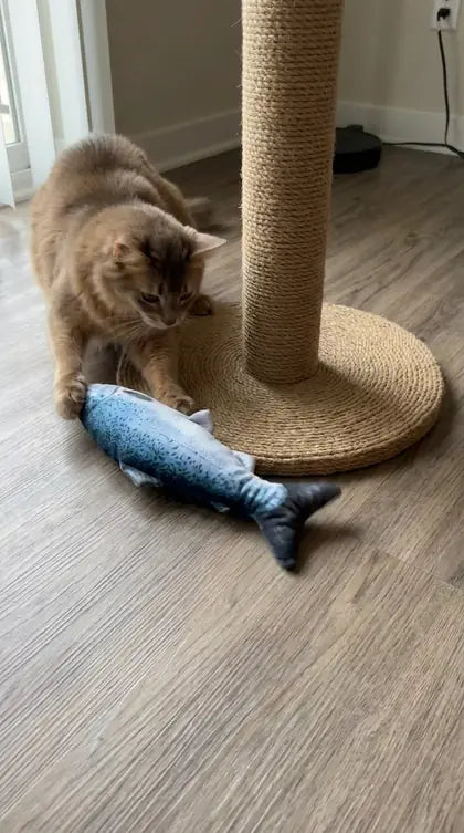 Customer photo featuring Furavora Flopping Fish Toy