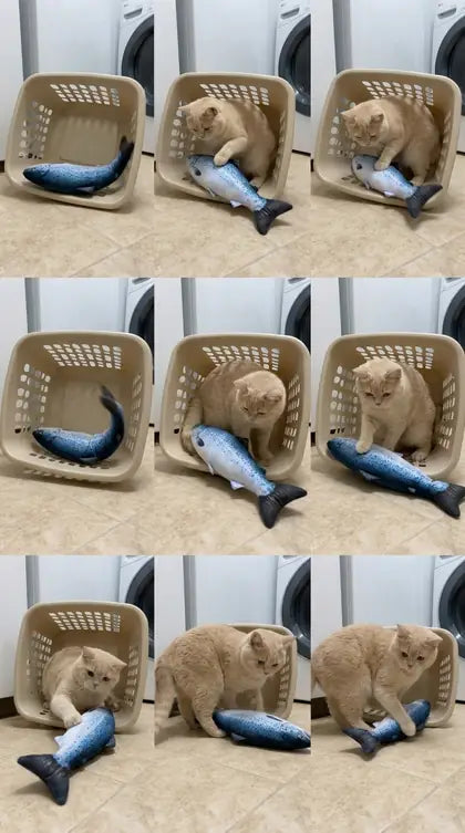 Customer photo featuring Furavora Flopping Fish Toy