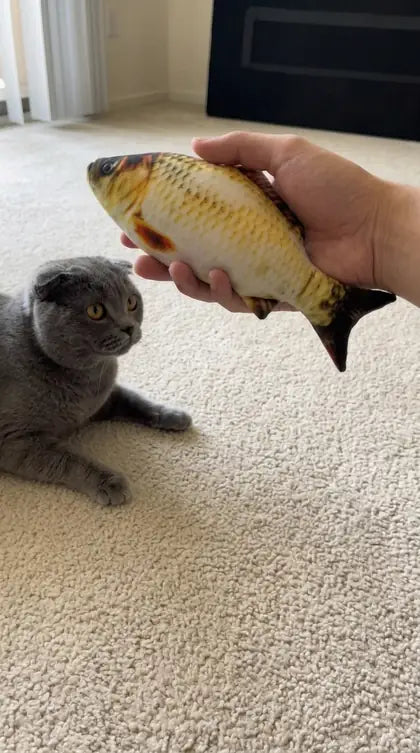 Customer photo featuring Furavora Flopping Fish Toy