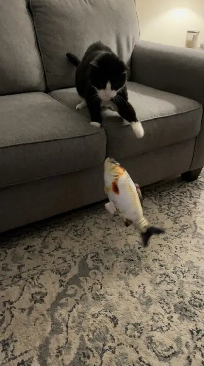Customer photo featuring Furavora Flopping Fish Toy