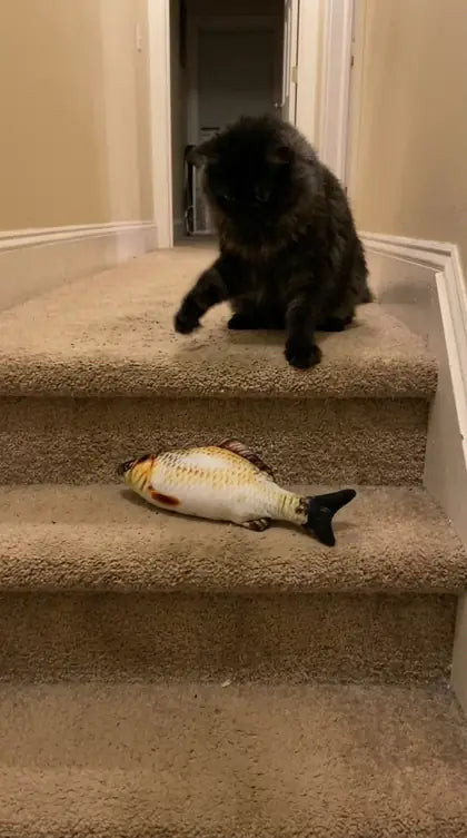 Customer photo featuring Furavora Flopping Fish Toy