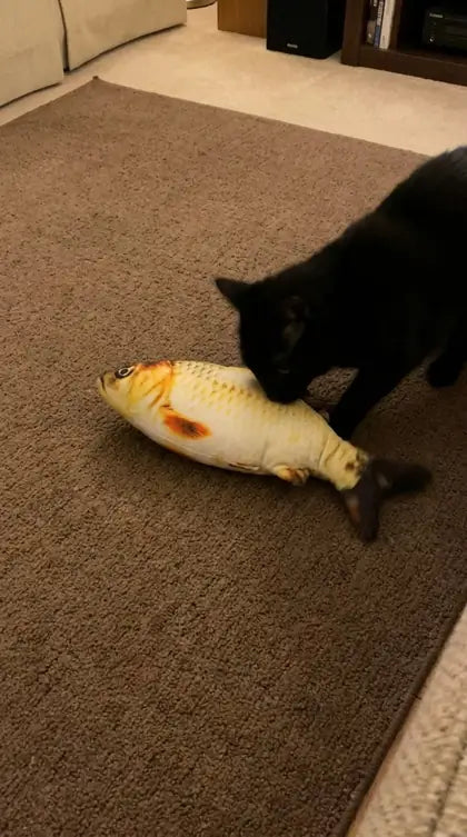 Customer photo featuring Furavora Flopping Fish Toy