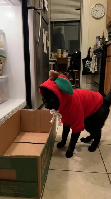 Customer photo featuring Furavora Fruity Fleece Hoodie
