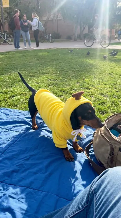 Customer photo featuring Furavora Fruity Fleece Hoodie