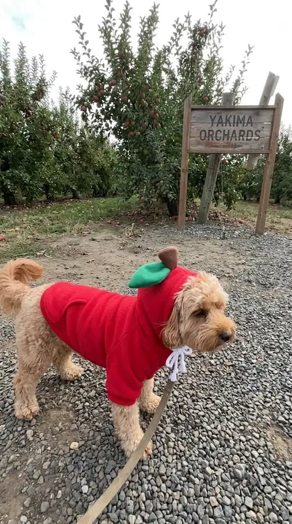 Customer photo featuring Furavora Fruity Fleece Hoodie