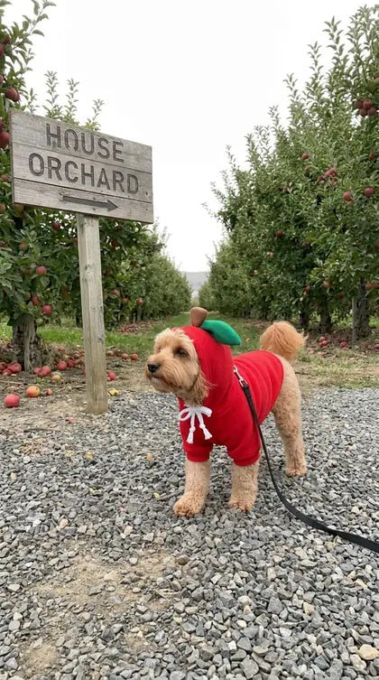 Customer photo featuring Furavora Fruity Fleece Hoodie