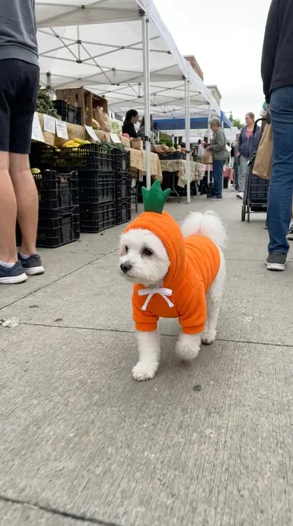 Customer photo featuring Furavora Fruity Fleece Hoodie