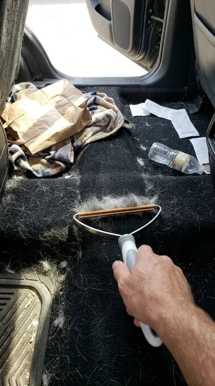 Customer photo featuring Furavora Reusable Fur Scraper