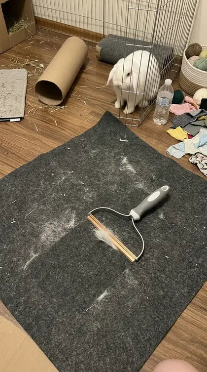 Customer photo featuring Furavora Reusable Fur Scraper