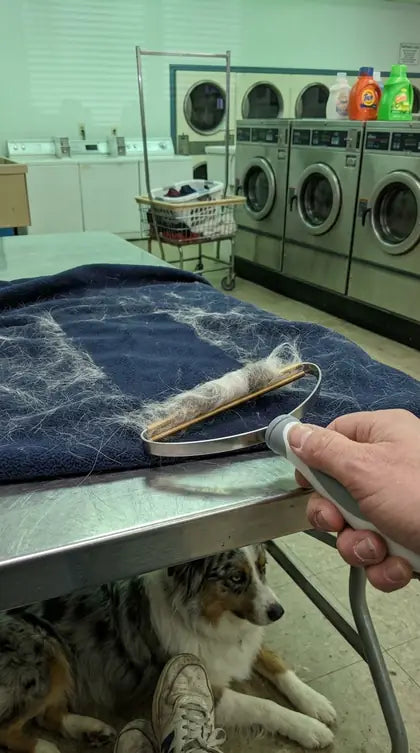 Customer photo featuring Furavora Reusable Fur Scraper