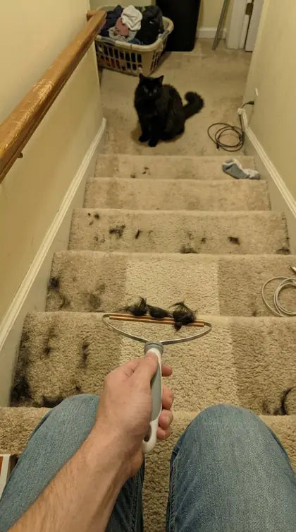 Customer photo featuring Furavora Reusable Fur Scraper
