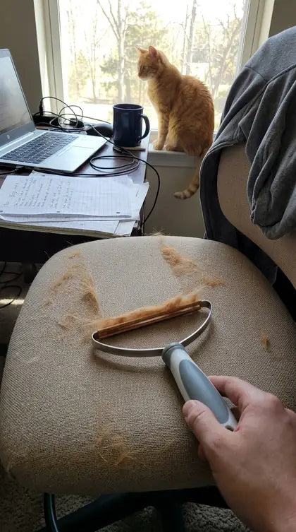 Customer photo featuring Furavora Reusable Fur Scraper