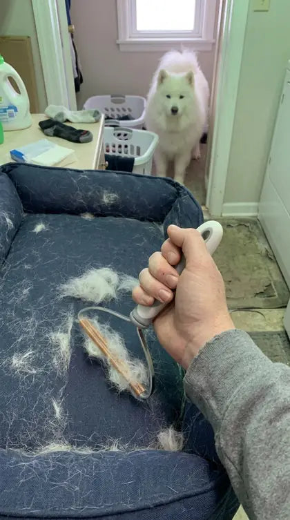 Customer photo featuring Furavora Reusable Fur Scraper