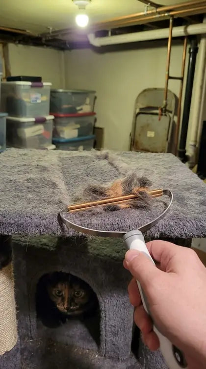 Customer photo featuring Furavora Reusable Fur Scraper