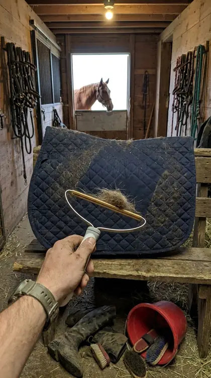 Customer photo featuring Furavora Reusable Fur Scraper