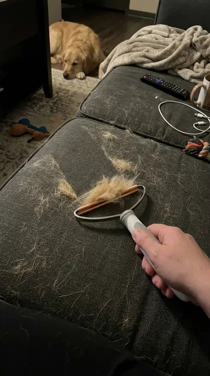 Customer photo featuring Furavora Reusable Fur Scraper