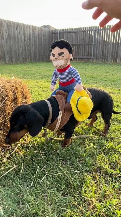 Customer photo featuring Furavora Halloween Rider Costume