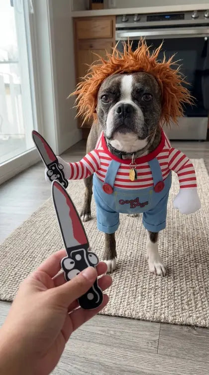 Customer photo featuring Furavora Halloween Rider Costume