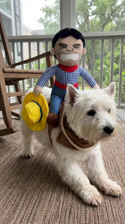 Customer photo featuring Furavora Halloween Rider Costume