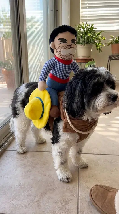 Customer photo featuring Furavora Halloween Rider Costume