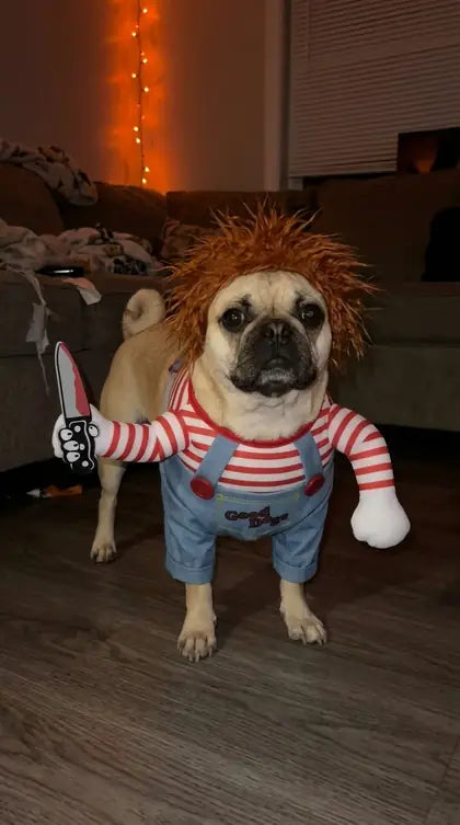 Customer photo featuring Furavora Halloween Rider Costume