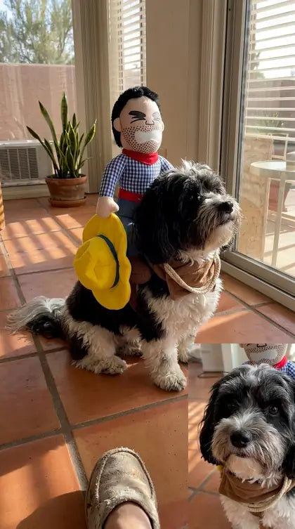 Customer photo featuring Furavora Halloween Rider Costume