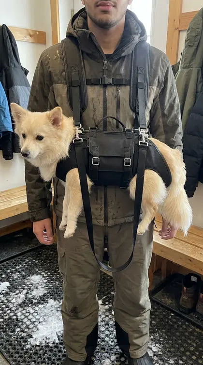 Customer photo featuring Furavora Hands-Free Sling Carrier