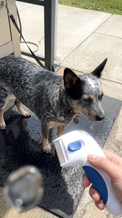 Customer photo featuring Furavora Electric Lice Comb