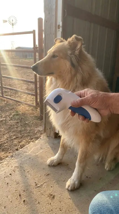 Customer photo featuring Furavora Electric Lice Comb