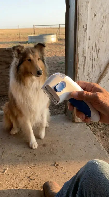 Customer photo featuring Furavora Electric Lice Comb