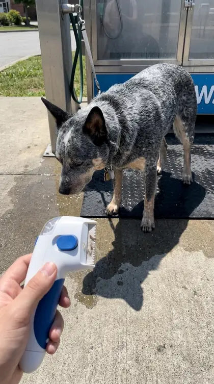 Customer photo featuring Furavora Electric Lice Comb