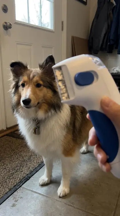 Customer photo featuring Furavora Electric Lice Comb