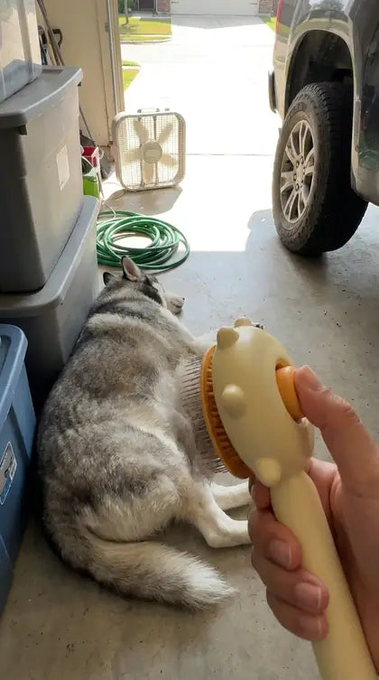 Customer photo featuring Furavora Massage Grooming Comb