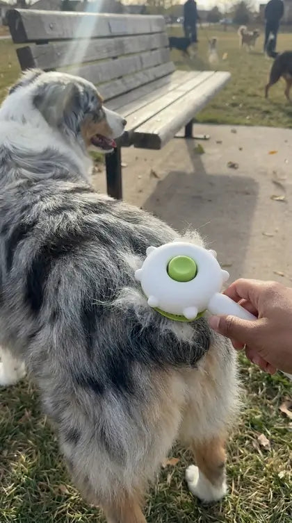 Customer photo featuring Furavora Massage Grooming Comb