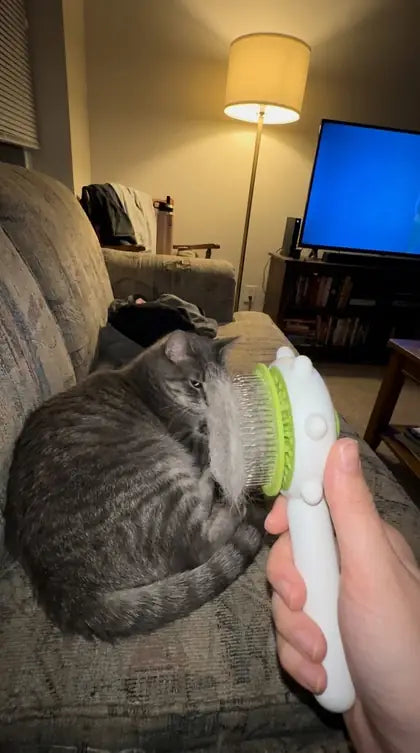 Customer photo featuring Furavora Massage Grooming Comb